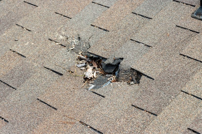 Leaky Roof Replacement in Cumming, GA