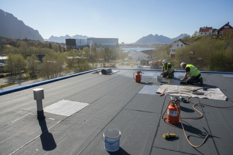 Tpo Roof Replacement in Duluth, GA