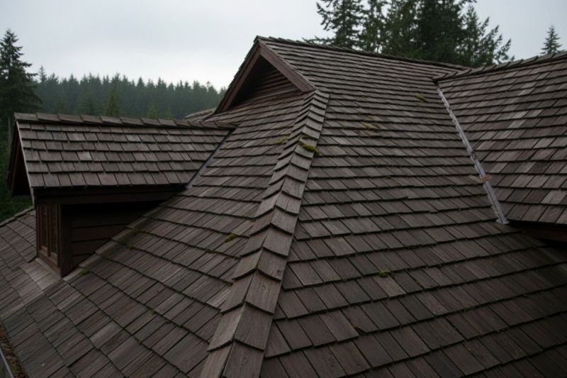 Wood Shake Roof Replacement in Hoschton, GA
